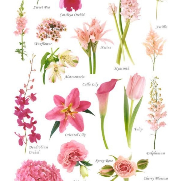 🌼🌼🌼🌼🌼🌼🌼🌼🌼🌼🌼🌼🌼 - Picture 3 of 4